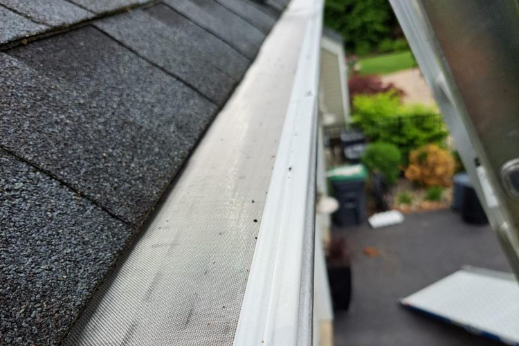 gutter guard